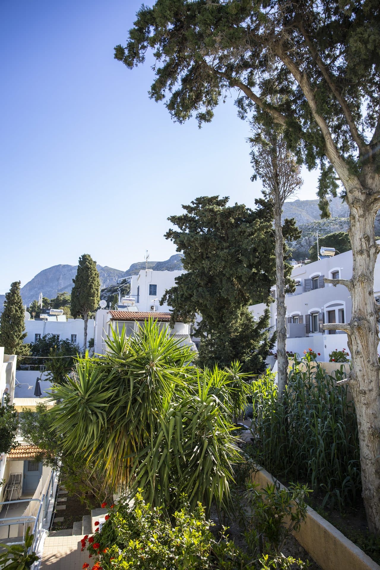 Ibiscus villas among the trees, Massouri