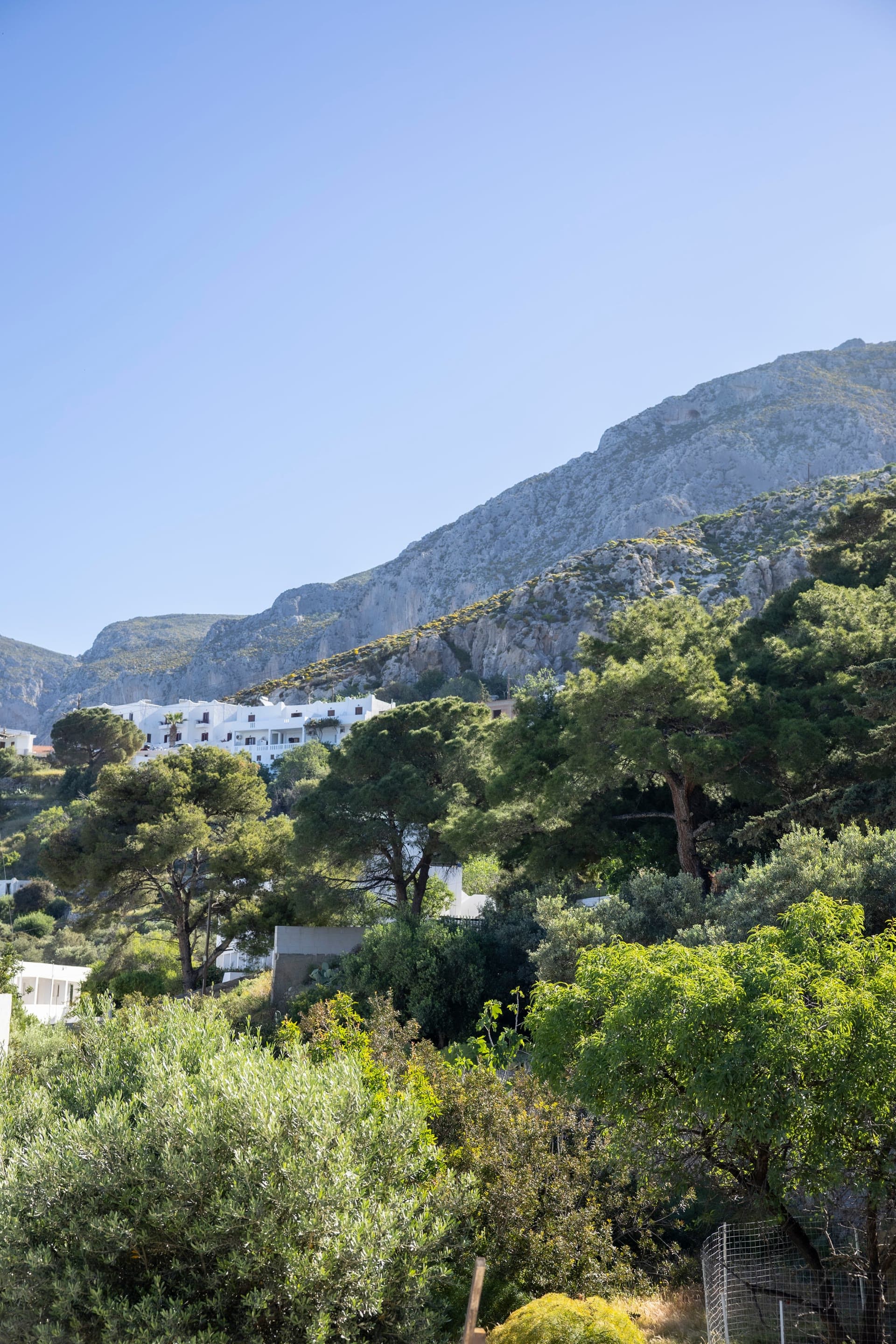 Massouri mountainside seen from Ibiscus